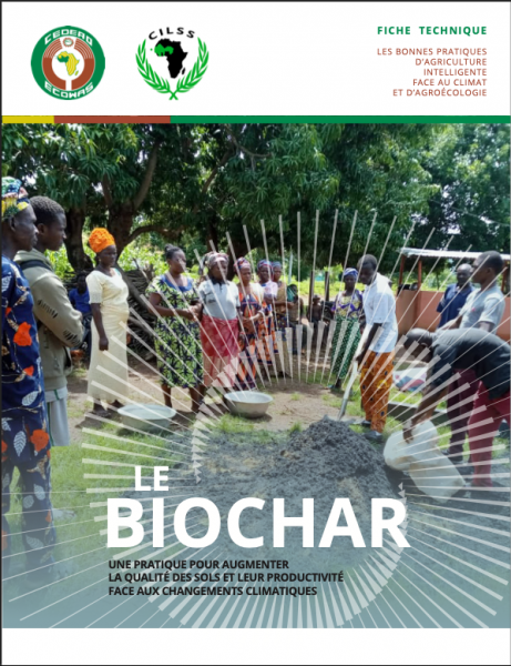Fiches de bonnes pratiques : le Biochar (pratique pour améliorer la qualité des sols et productivité face aux CC)