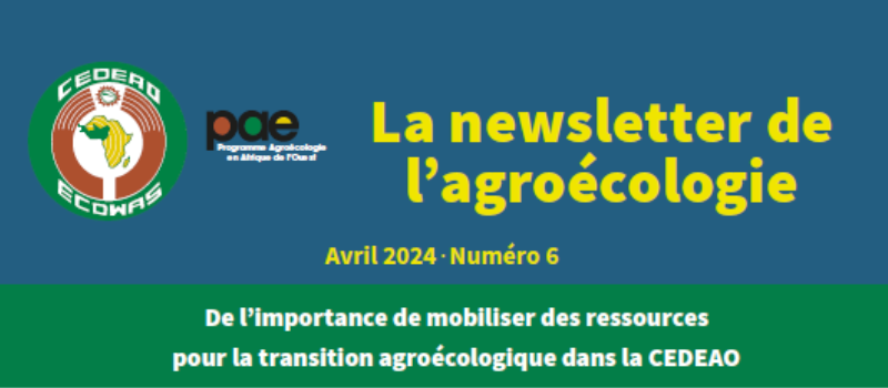 newsletter de l’agroécologie