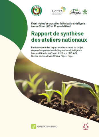 Rapport de synthèse des ateliers régionaux