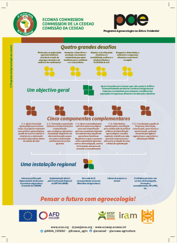 Ficha projeto - PAE