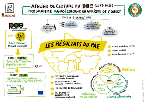 Synthèses visuelles de l'atelier bilan du PAE